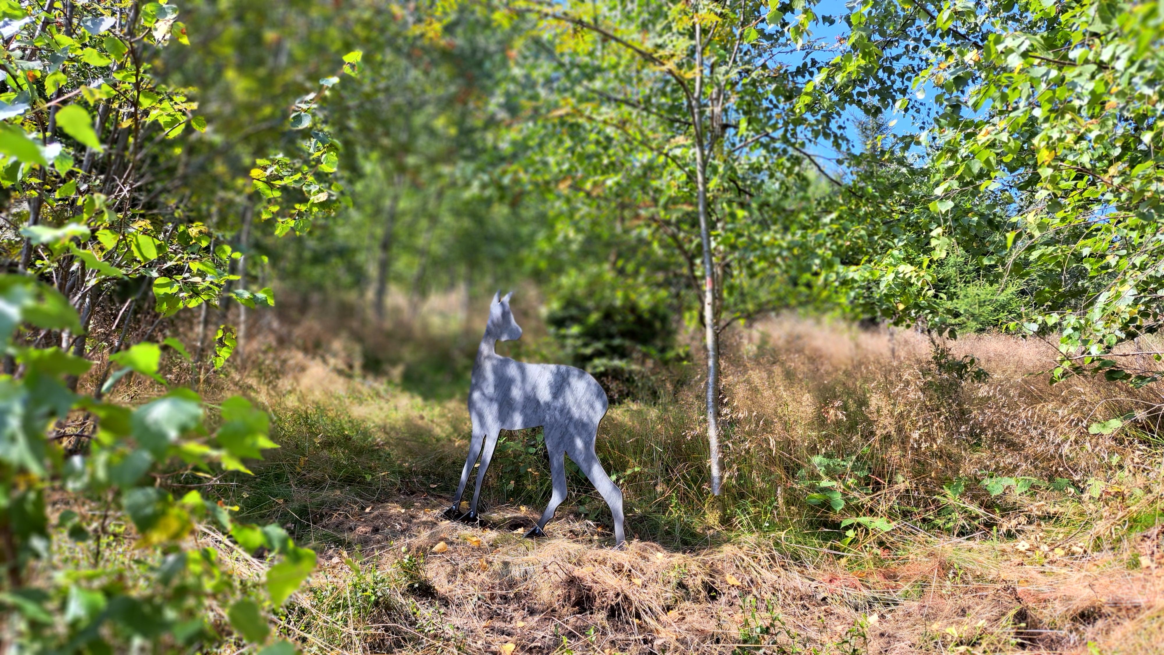 wald-aktiv-pfad leitschtal reh