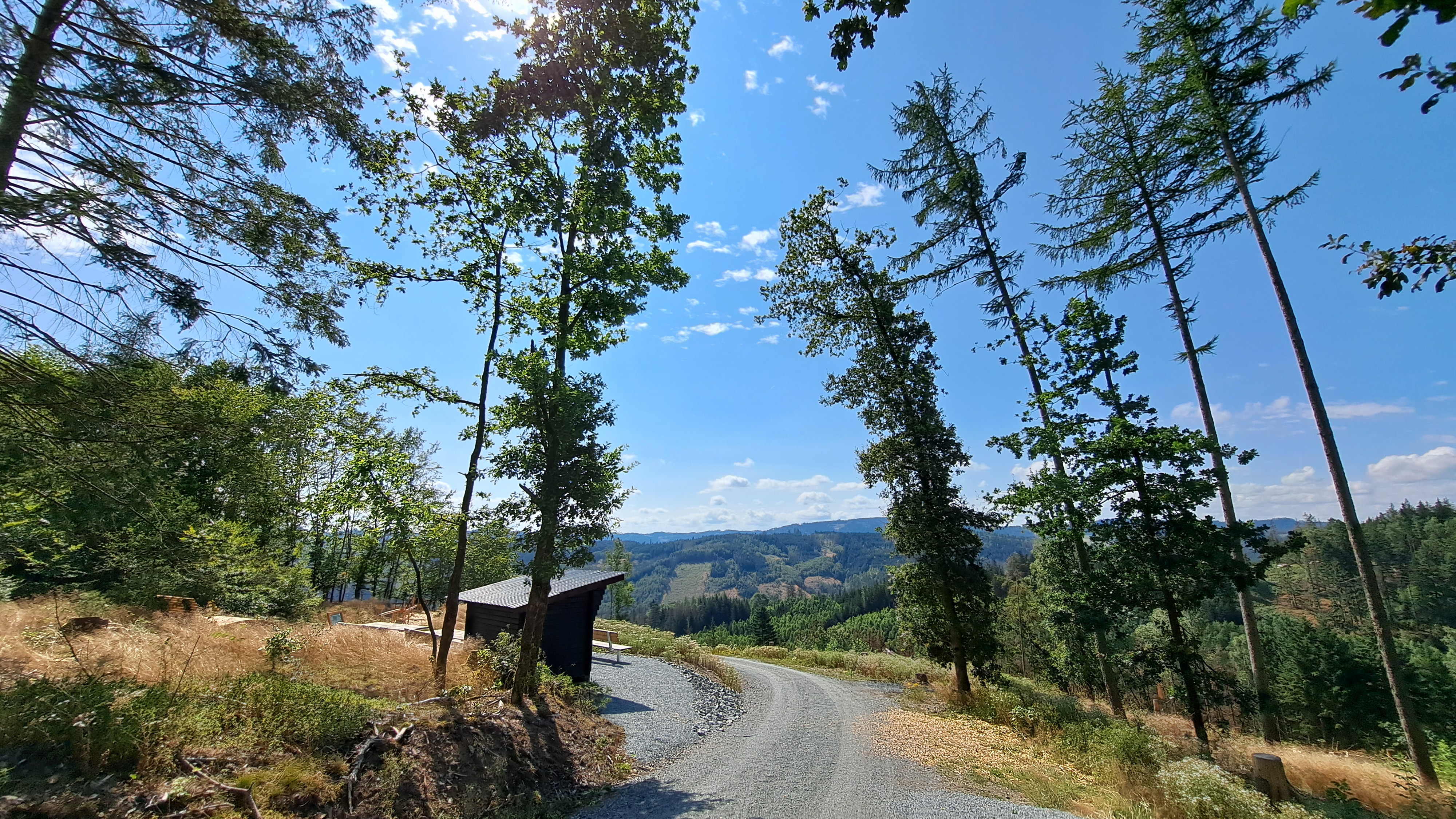 wald-aktiv-pfad leitschtal aussicht