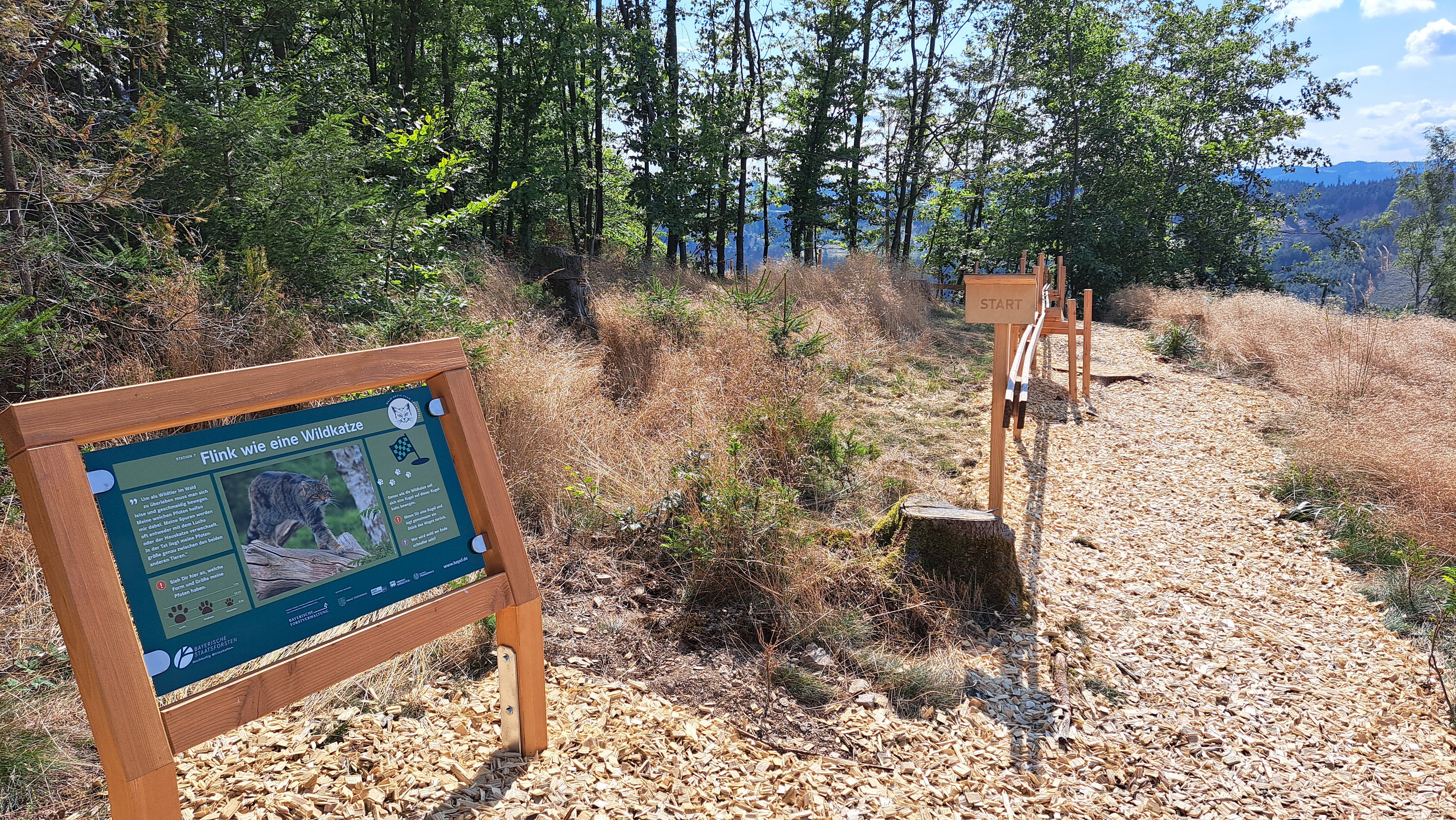 wald-aktiv-pfad leitschtal kugelbahn