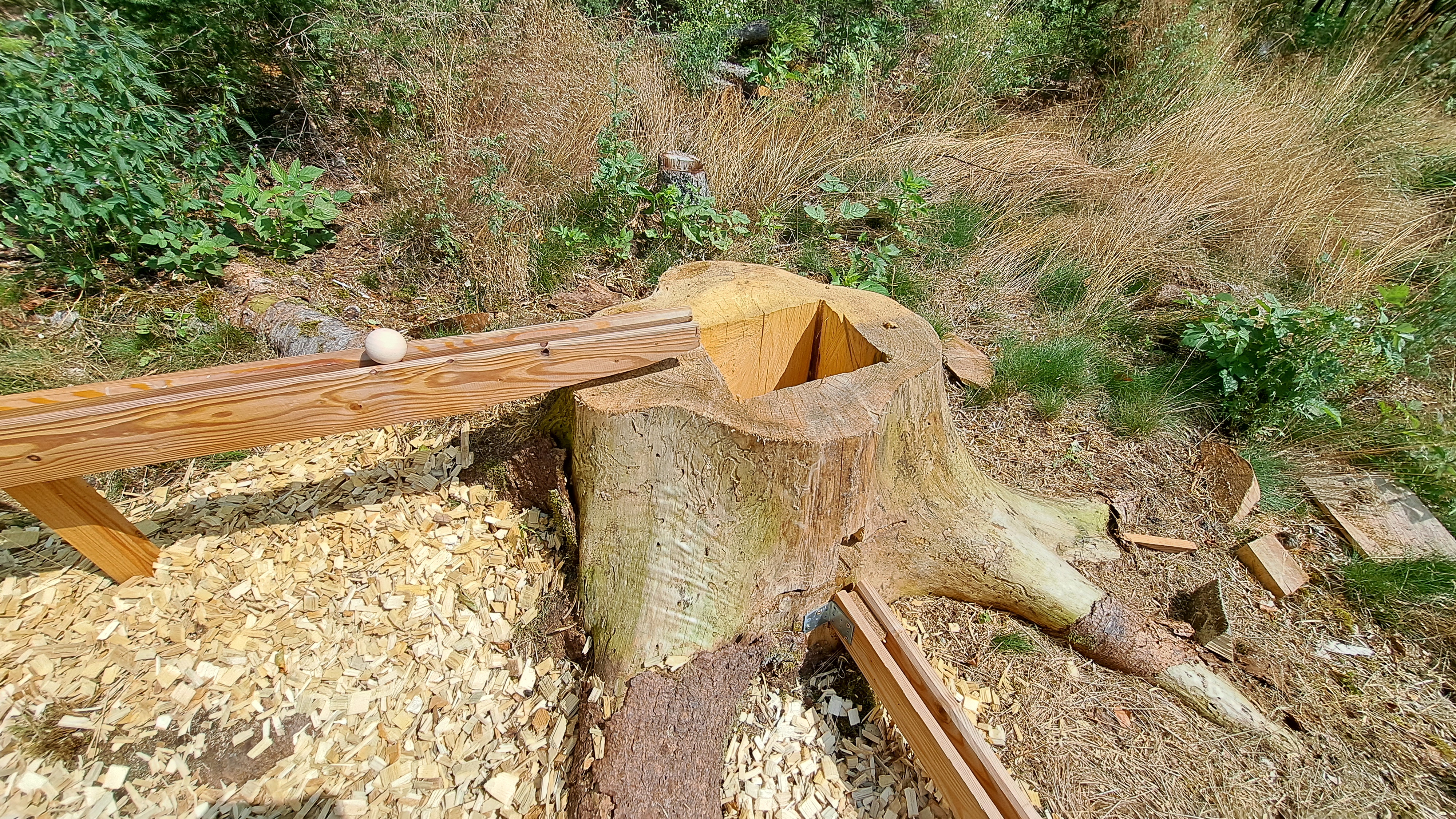 wald-aktiv-pfad leitschtal kugelbahn baumstumpf